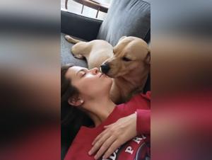 exploring bestiality zoo links