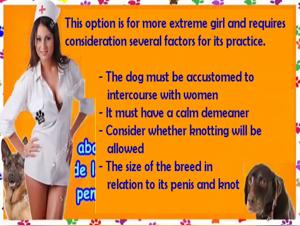 Unique dog sex videos