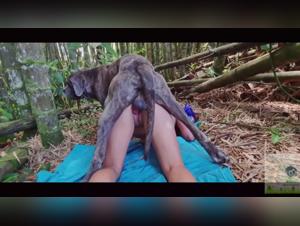 Most Intense Zooological Bestiality Experiences with Leydi, Rad Quadrupede