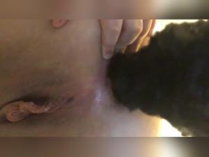 Bestial and hardcore zoophilia scene