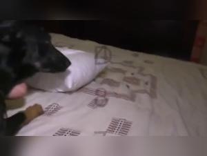 Descubre el infierno femenino: beso animal extremo
