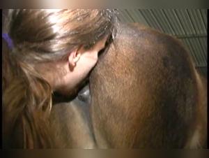Video of extreme zoophilia with a horse