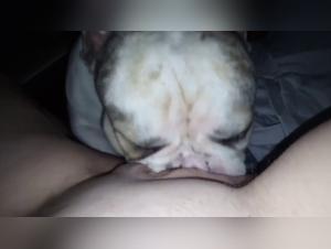 La Liaison Interdite d'une Femme avec un Chien