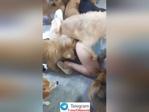 Tabu-Erkundung: Ein 28-jahriges chinesisches Madchen und ihr tierisches Verlangen