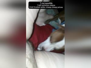 Bestial and Extreme Video: Discover Sex with Dog