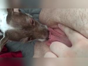 Discover the World of Bestiality and Zoophilia