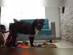 Discover Extreme Sex with Animals