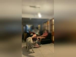 Desires Fulfilled: Dog & Woman in Sexual Incest