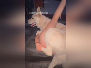Double pénétration avec chien, créampie garantie