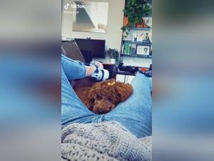 Discover the Forbidden Pleasures of Zoophilia