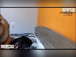 zooxnxx big dog bite