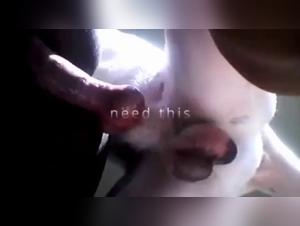 Bestiality sex video with hot ebony and dog