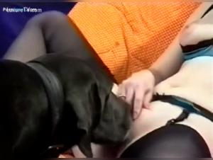 Dog sex video: a classic woman and her pet