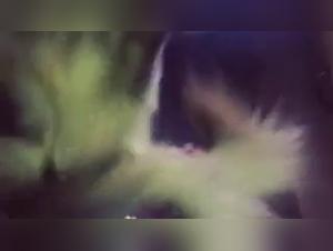 Explore the limits of bestiality in this dog sex video