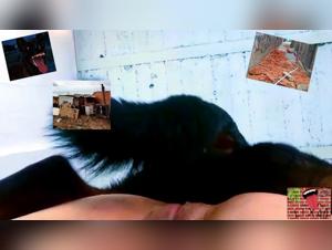 La moglie puttana brasiliana viene aggredita da un cane