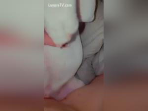 Regardez cette salope en pleine action dans cette vidéo de sexe bestialité