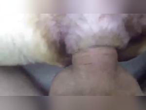 Bestiality Sex Video: A Woman and Her Canine Companion