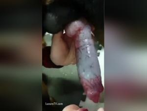 Cazzo bestiale e divertimento selvaggio