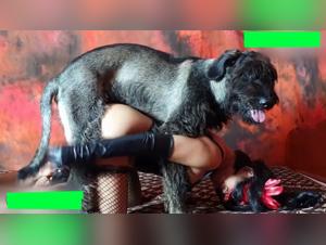 Bestiality Sex with a Dog