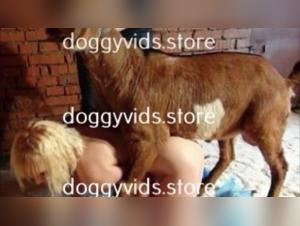 Animal Sex Video: Russian Blonde and Goat