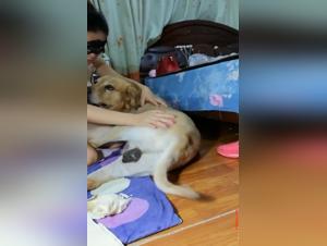 unleash your desires: hardcore NSFW content