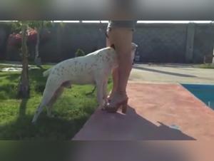 Watch this Woman Intimate with a Dog