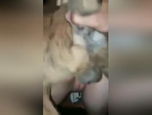Sex video with dog and bestiality cum - Amateur
