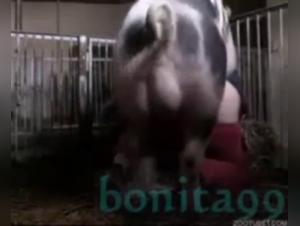 Explore the Limits of Bestiality