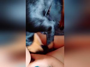 impulsos crudos, fantasias animales exploradas