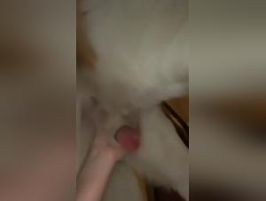 suction, pleasure and animal submission