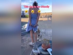 Extreme sex with a dog and a curious young girl