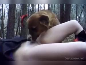 Extreme Bestiality: Teen's Shocking Encounter with a Dog