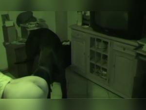 Tierische Freiheit: Gluhende Kusse mit einem Hundeschwanz