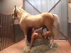 Zoophilia video: a woman and her horse