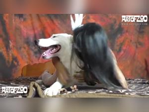 A hardcore sex video featuring a lesbian woman kissing and fucking her dog