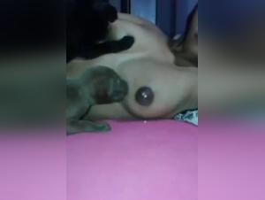 Bestiality sex videos featuring hungry dogs