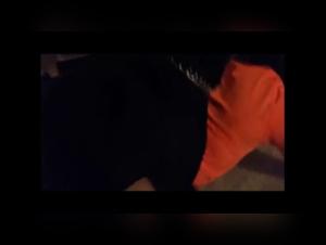 Une expérience sexuelle extrême avec un chien