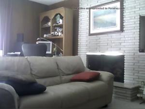 Dog sex video: black shemale and dog