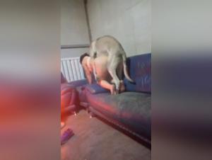 Esplora l'abisso della lussuria bestiale