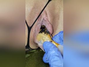 Experience the Hardest Dog Sex and the Craziest Unbirth