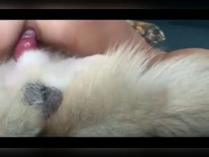 Bestiality video: discover the pleasures of the meeting between a woman and her dog