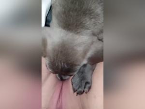 Intense sex scene with a dog and a young woman