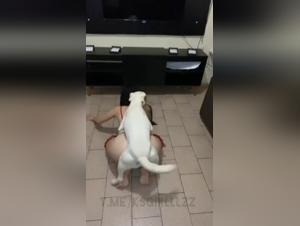 Exclusive Zoolgia Video Collections