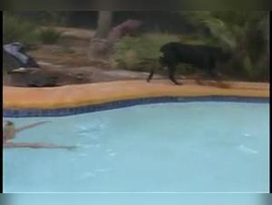 A Bestial and Extreme Sexual Experience