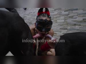 Bestiality Sex Videos with Dogs: Push Your Limits