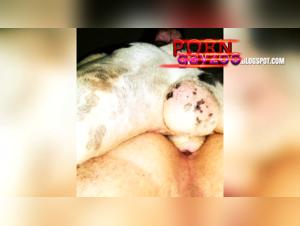 Extreme zoophilia scene with a submissive woman