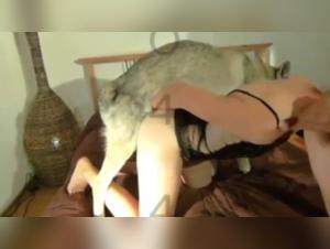 Moments of extreme pleasure in zoophilia videos