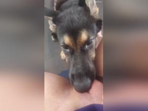 A bestial and intense encounter