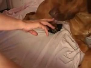 The hot surgeon is seduced by the dog and starts to kiss him!