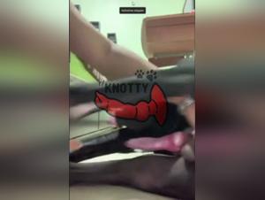 The French woman gets sex with her dog and an enormous dog in a Mexican landscape.